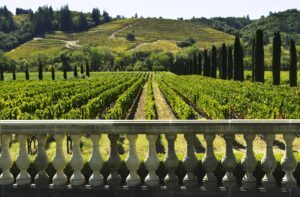 Meilleur site investissement vin investir dans le vin en 2023