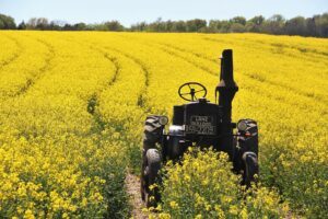 investir dans les matières premières