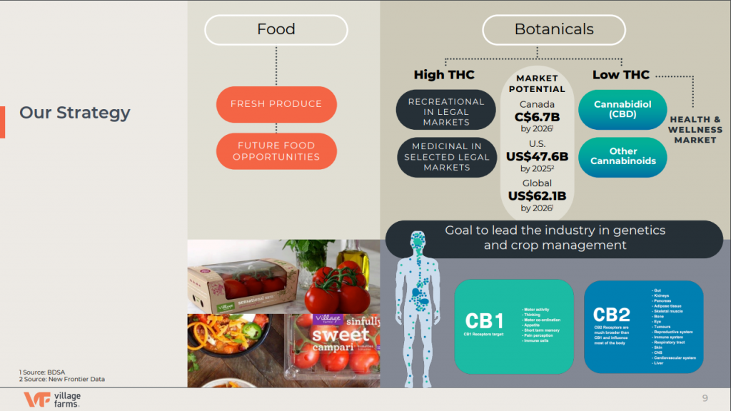 ferme verticale, cannabis